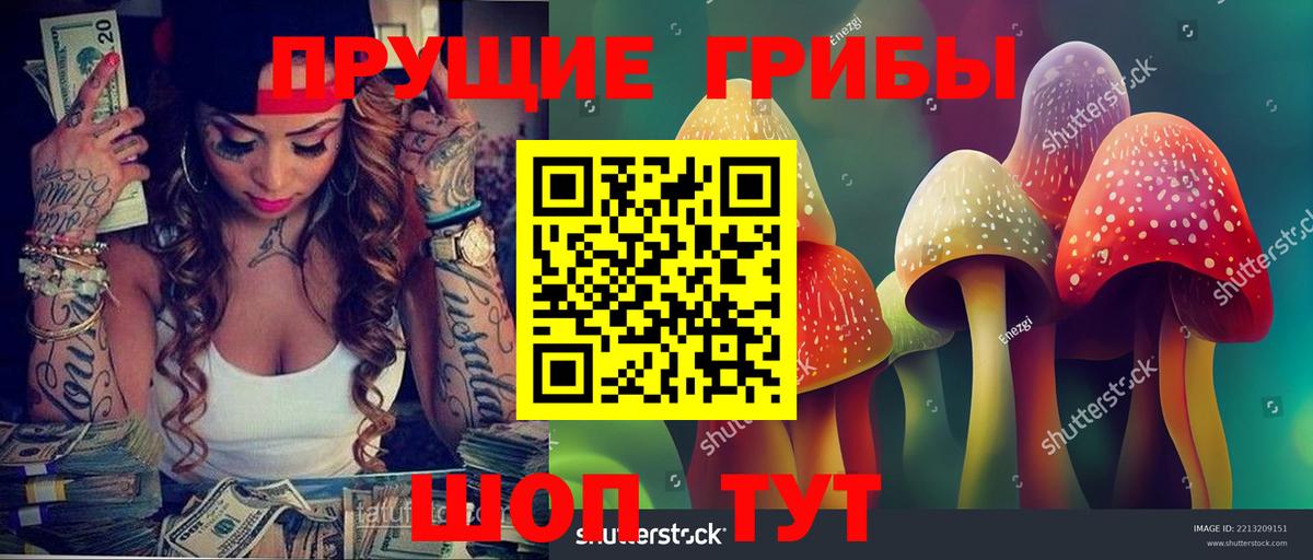 дарнет шоп  Галлюциногенные грибы Cubensis  Вход с VPN  Минусинск  Псилоцибиновые грибы прущие грибы 