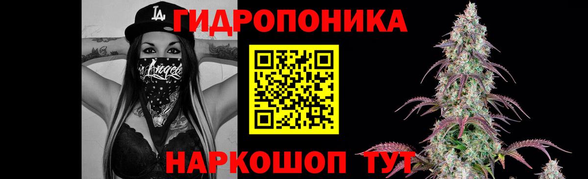Бошки Шишки конопля  Вход с VPN  Минусинск  Конопля тримм  Шишки марихуана сатива 
